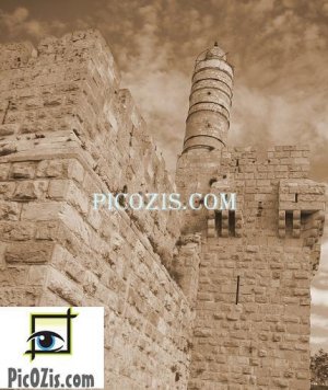VBW004201109 - David Tower - 28x35cm (11x14")