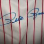 Pete rose LE autographed CAREER STAT Jersey