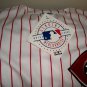 Pete rose LE autographed CAREER STAT Jersey
