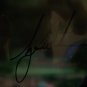 Tiger Woods autographed 16x20 UDA photo-Tiger Roars