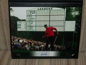 Tiger Woods LE autographed 8x10 UDA photo