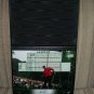 Tiger Woods LE autographed 8x10 UDA photo