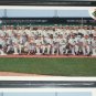 1917 Revisited 91 upper deck rare insert #617