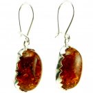 COGNAC BALTIC AMBER EARRINGS - STERLING SILVER