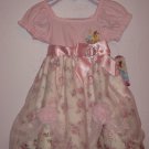 Disney Princess Dress
