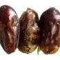 Medjool Dates palm tree Phoenix dactylifera -25 Seeds