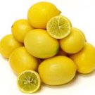 LIMEQUAT CITRUS SEEDS 20 fresh seeds