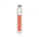Addict Lip Polish