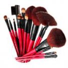 SHANY Professional 13-Piece Cosme BrANY
