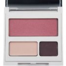 Clinique eyeshadow (night plum/lighter shade) & blush (smoldering plum) panel