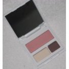 Newest Clinique Red Apple Palette Travel Exclusive