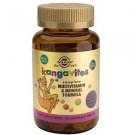 Solgar Kangavites Multivitamin & Mineral Chewable Tablets-Bouncin' Berry™ Flavour