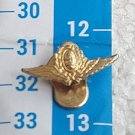 Argentina Argentine Air Force Badge Pin #6