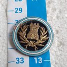 Argentina Argentine Police Corrections Badge Pin #6