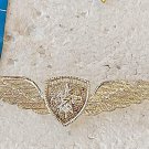 Argentina Argentine Police Highway Patrol Wings Badge Pin #8