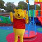 New high quality bear mascot costume adult size Halloween costume fancy dress free shipping