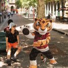 New high quality kungfu tiger mascot costume adult size Halloween costume fancy dress free shipping
