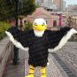 high quality Eagle mascot costume adult size Halloween costume fancy dress free shipping
