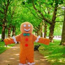 high quality gingy mascot costume adult size Halloween costume fancy dress free shipping
