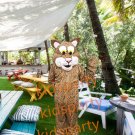 Friendly Jaguar mascot costume custom fancy costume anime fancy dress carnival costume