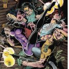 Catwoman #24 (1995) *DC Comics / Modern Age / Jim Balent / Newsstand Edition*