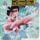Bruce Lee: The Dragon Rises FCBD #0 (2016) *Darby Pop Publishing / Martial Arts*