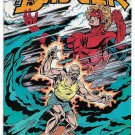 The Badger #6 (1985) *First Comics / Cover Artwork By Bill Reinhold / Thorndyke*