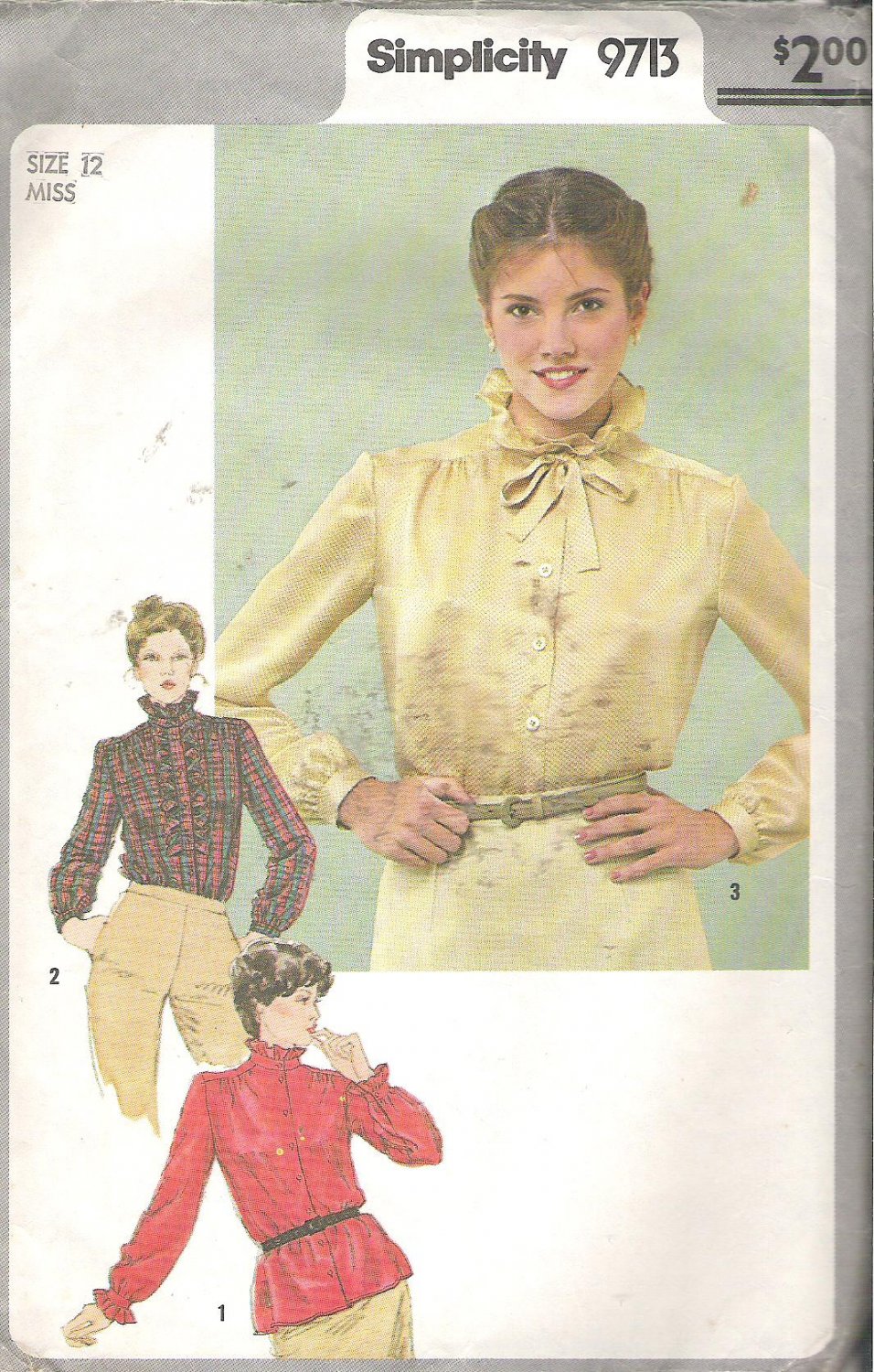 Simplicity 9713 (1980) Pattern Blouse Detachable Jabot Standup Ruffle