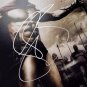 Gerard Butler Autographed Signed 11x14 Leonidas 300 Photo BECKETT