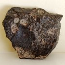 NWA869 stone meteorite, 385 g