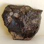NWA869 stone meteorite, 385 g