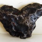 Canyon Diablo iron meteorite, 1290 grams