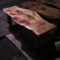 Wolf Coffee Table