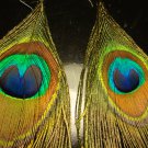 Peacock Feather Earrings Pair