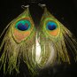 Peacock Feather Earrings Pair