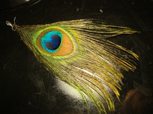 Single Peacock Feather Earring