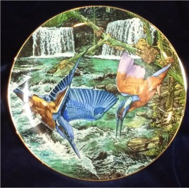 Kingfisher Porcelain Plate Collectible Royal Cornwall Exotic Birds Tropique
