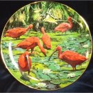 Scarlet Ibis Porcelain Plate Collectible Royal Cornwall Exotic Birds Tropique