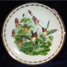 Ruby Throated Hummingbirds From Hamilton Jeweled Hummingbird Plate Collection
