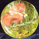 Goldie's Bird of Paradise Porcelain Plate Collectible Royal Cornwall Exotic Bird