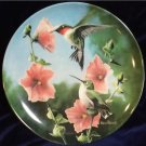 Knowles Collectors Plate The Hummingbird Collecters Kevin Daniel Your Garden