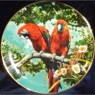 Scarlet Macaws Parrots Porcelain Plate Collectible Royal Cornwall Exotic Birds