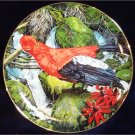 Andean Cock of the Rock Porcelain Plate Collectible Royal Cornwall Exotic Birds