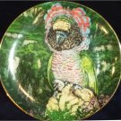 Red Fan Parrot Porcelain Plate Collectible Royal Cornwall Exotic Birds Tropique