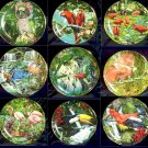 9 Royal Cornwall Exotic Birds Of Tropique Collector Plates