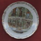 Souvenir Collector Plate California Redwoods Made in Japan 5 1/2" Drive Thru Tree