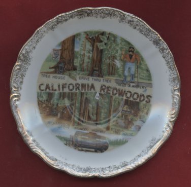 Souvenir Collector Plate California Redwoods Made in Japan 5 1/2" Drive Thru Tree