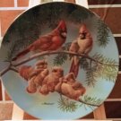 Knowles Collector Plate The Singing Lesson Backyard Harmony Red Cardinals Birds Knowles Collector Plate The Singing Lesson Backyard Harmony Red Cardinals Birds