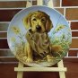 Knowles Plate Caught in the Act The Golden Retriever Field Puppies dog Kaatz