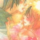 ADULT 18+ Doujinshi HP6 Harry Potter Love Mark	by Red Strike	Black x Lupin	32 pages